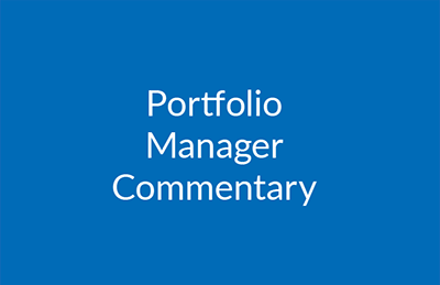 Portfolio Manager Commentary