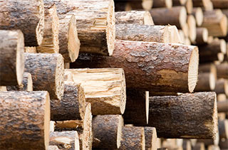 Stacked logs