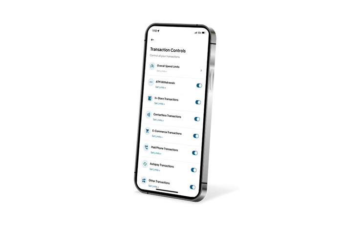 key features of card controls